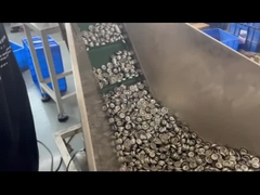 측정 에어로졸 밸브 에어로졸 측정 밸브 1인치 플라스틱 줄기 측정 밸브 1인치 측정 va