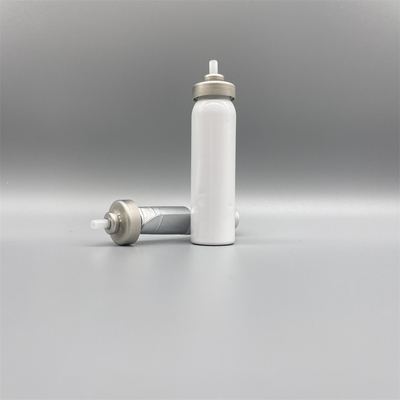 주문 Innovative Bag on Valve for Automotive Use with Precision Trigger Spray Cap 온라인 제조