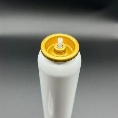주문 High-Value Bulk Aerosol Hair Mousse Dispenser for Salon Chains with Economical Pricing and Reliable Performance 온라인 제조