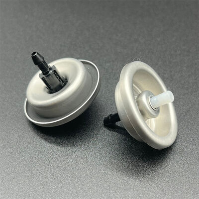 주문 Botanical-Based Aerosol Hair Mousse Dispenser for Conscious Consumers with Natural Hold and Plant-Derived Ingredients 온라인 제조