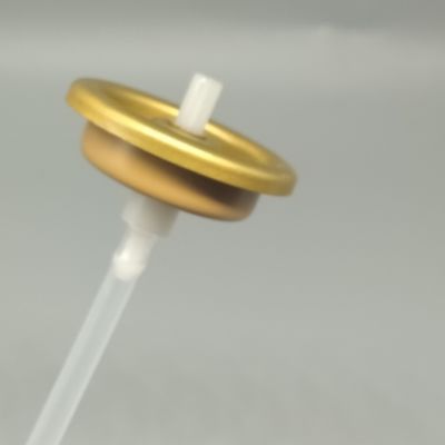 주문 1 인치 진과 알루미늄 에어로졸 밸브 가루 스프레이 응용 프로그램 온라인 제조