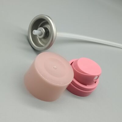 주문 알루미늄 디오도рант 캔용용 밸브 개인 관리용 포장용 정밀 에어로졸 밸브 및 스프레이 분비 시스템 온라인 제조