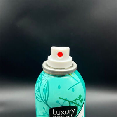 안정적인 유량, 균일한 분사 성능, 그리고 유분 흡수를 위한 초미세 미스트 노즐을 갖춘 드라이 샴푸 스프레이 밸브