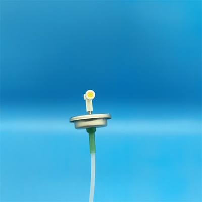 이름