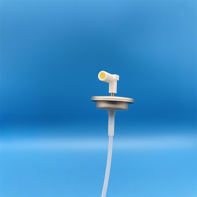 이름