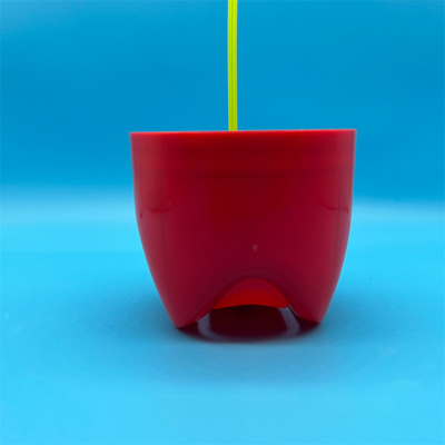 이름
