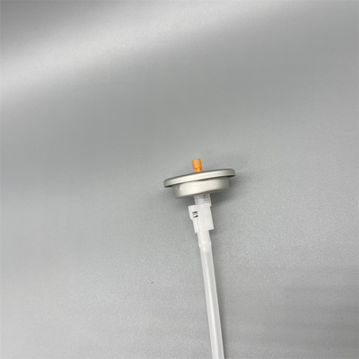 이름